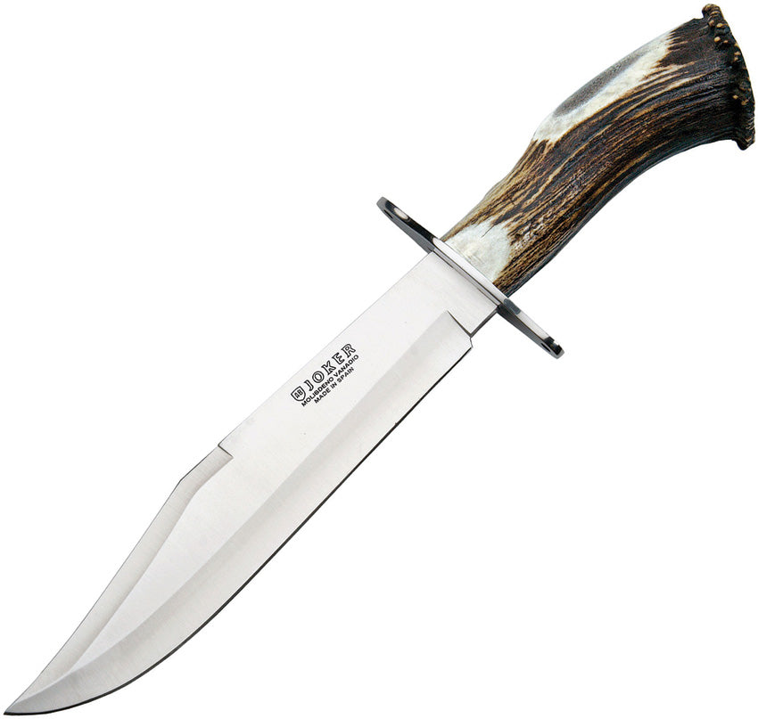 Bowie 25