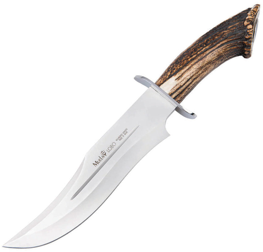 Lobo Bowie Stag